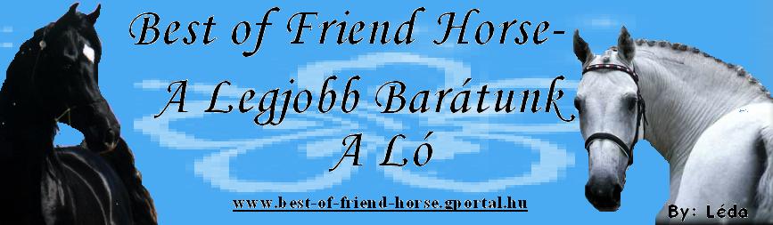 Best of Friend Horse- A Legjobb Bartunk A L!